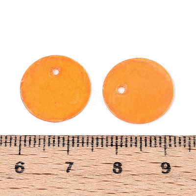 Spray Painted Natural Capiz Shell Disc Charms BSHE-T014-02B-1