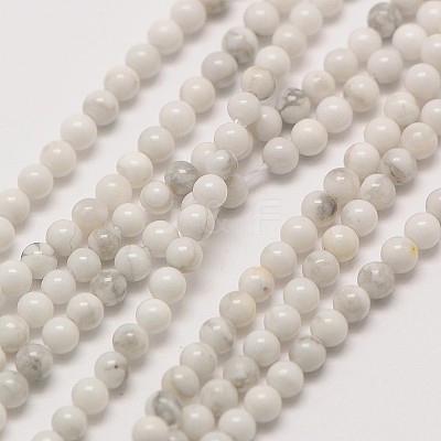Natural Howlite Round Bead Strands X-G-A130-2mm-L02-1