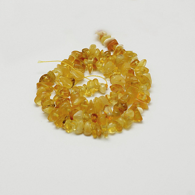 Natural Amber Chip Beads Strands G-E333-01B-1