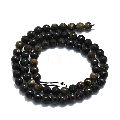 Natural Biotite Beads Strands G-P457-C02-01-1