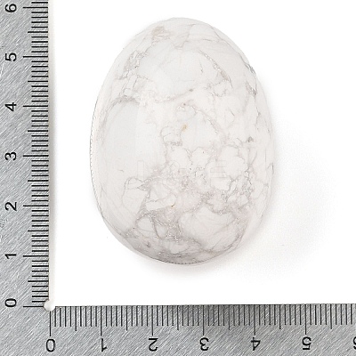 Natural Howlite Palm Stones G-I367-04B-1