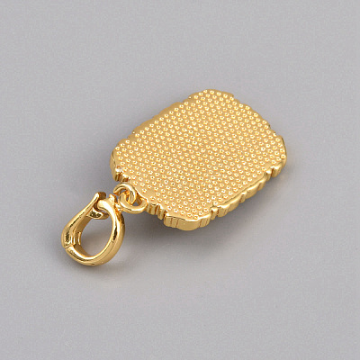 Alloy Enamel Pendants FIND-WH0148-843B-1