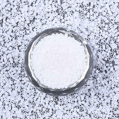 FGB 11/0 Grade A Glass Seed Beads X-SEED-S030-1141-1