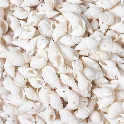 Natural Trumpet Shell Beads BSHE-KS0001-01-1