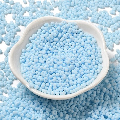 Glass Frosted Seed Beads SEED-K009-05B-09-1