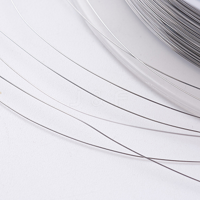 Steel Wire TWIR-E001-0.15mm-1