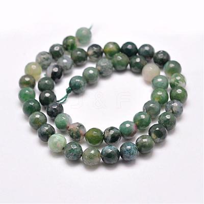 Natural Moss Agate Beads Strands G-F350-6mm-1