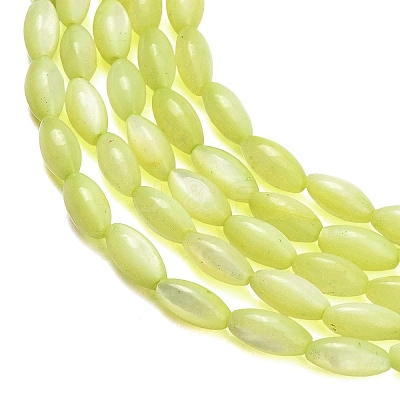 Natural Freshwater Shell Beads Strands SHEL-C010-01D-1