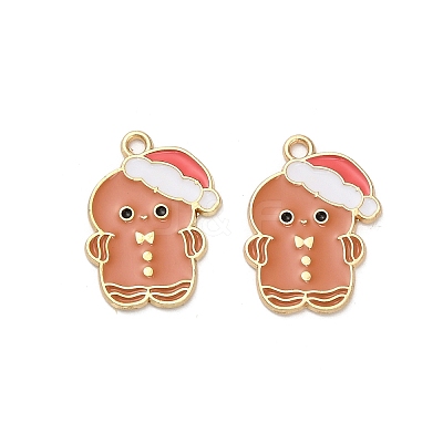 Alloy Enamel Pendants FIND-Z096-01G-01-1