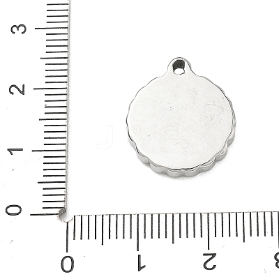 304 Stainless Steel Enamel Pendants SA-CBA8A4A-04B-P-1