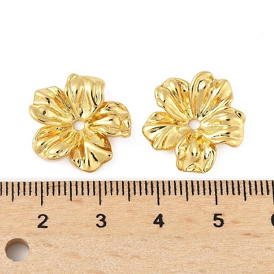 Brass Bead Caps KK-V015-27G-01-1