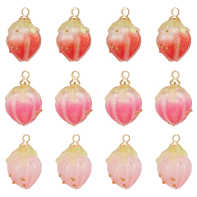 12Pcs 3 Colors Opaque Acrylic Charms MACR-UN0001-02-1