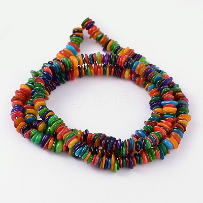 Natural Freshwater Shell Beads Strands S23YD011-1