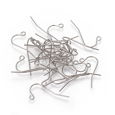 Tarnish Resistant 304 Stainless Steel Earring Hooks STAS-I101-55P-1