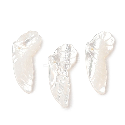 Natural White Shell Carved Pendants SSHEL-I026-07B-1