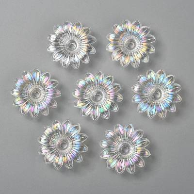 Transparent Acrylic Beads TACR-R14-9-1