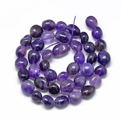 Natural Amethyst Beads Strands G-R445-8x10-03-1