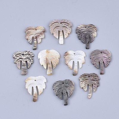 Black Lip Shell Pendants SSHEL-S251-25-1
