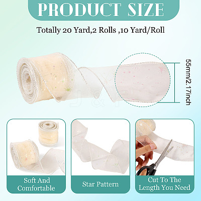 Polyester Deco Mesh Ribbons OCOR-TAC0024-004F-1