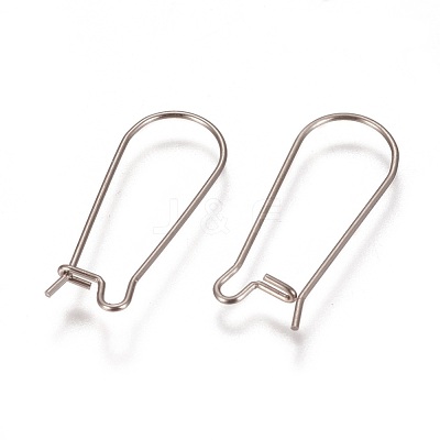 Tarnish Resistant 304 Stainless Steel Hoop Earrings Findings Kidney Ear Wires STAS-L216-22B-P-1