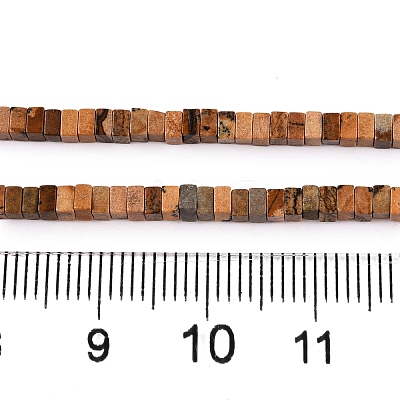 Natural Picture Jasper Beads Strands G-N342-74-1