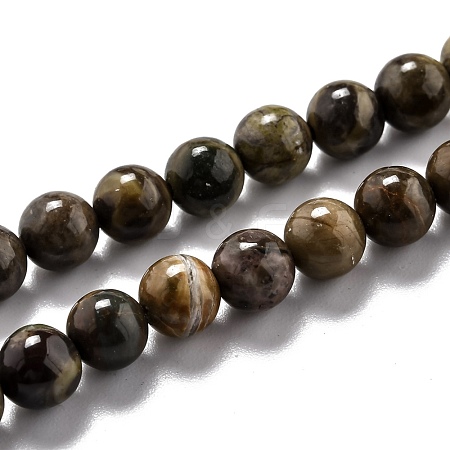 Round Natural Ocean Agate/Ocean Jasper Beads Strands G-O199-02A-1