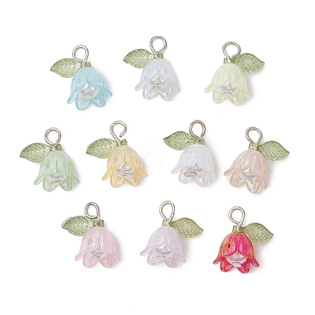 10Pcs Acrylic & Resin Pendants PALLOY-JF03032-1