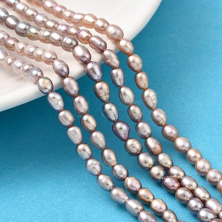 Natural Cultured Freshwater Pearl Beads Strands PEAR-I007-01P-04B-1