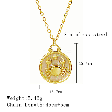 304 Stainless Steel Enamel Constellation Pendant Necklaces LS-DJ0261-7-1-1