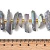 Electroplate Natural Quartz Crystal Beads Strands G-F800-B12-4