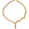 Punk Alloy Snake Pendant Iron Chain Necklaces for Women FS-WGADCDD-01-5