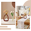 Glass Hydroponic Flower Vase AJEW-WH0871-73-5
