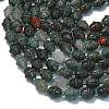 Natural Africa Bloodstone Beads Strands G-K389-D22-01-3