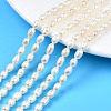 Natural Cultured Freshwater Pearl Beads Strands X-PEAR-N012-04B-1