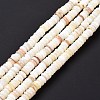 Shell Beads Strands SSHEL-E571-49I-6