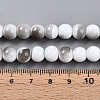 Baking Paint Glass Beads Strands DGLA-N013-8mm-01-4