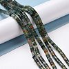 Natural Indian Agate Beads Strands G-P468-10-4