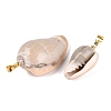 Brass & Natural Oliva Shell Pendants SHEL-Q029-22KCG-2
