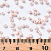 Glass Seed Beads SEED-S060-A-F407-5