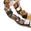 Natural Paua Shell Beads Strands BSHE-B007-04-3