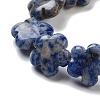 Natural Blue Spot Jasper Beads Strands G-F769-D01-01-4