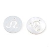 Natural Freshwater Shell Charms SHEL-N027-10D-3