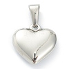 304 Stainless Steel Pendants STAS-P278-01E-P-2