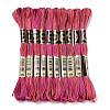 10 Skeins 6-Ply Polyester Embroidery Floss OCOR-K006-A56-1