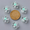 Transparent Acrylic Beads TACR-S152-06A-SS2111-3