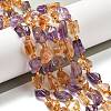 Natural Citrine & Amethyst Beads Strands G-H074-C01-02-2