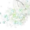 2 Sets Glass Seed Beads DIY-FS0008-27B-2