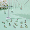 28Pcs 14 Style Glass European Dangle Charms PALLOY-WR00020-4