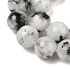 Natural Rainbow Moonstone Beads Strands G-Q1001-A05-02-01-3