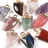 10Pcs 10 Style Natural Gemstone Pendants G-LS0002-14-4